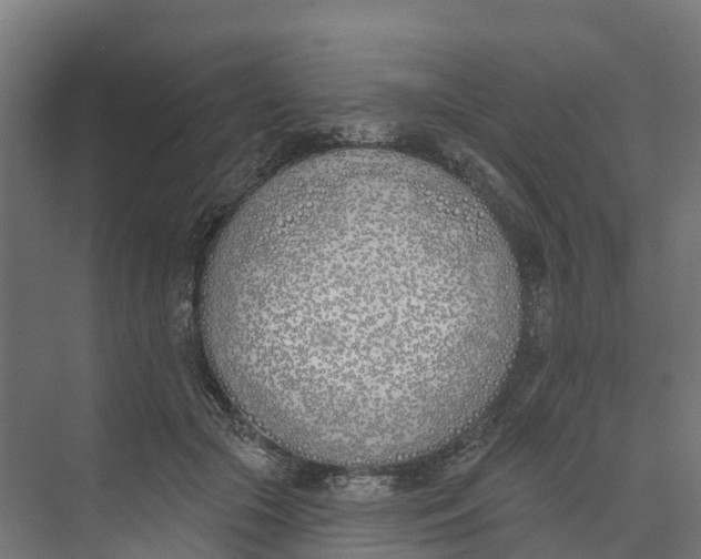 X0000073970553200609111745