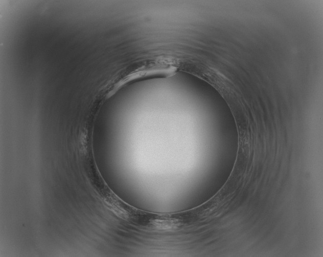 X0000073970556200609111745