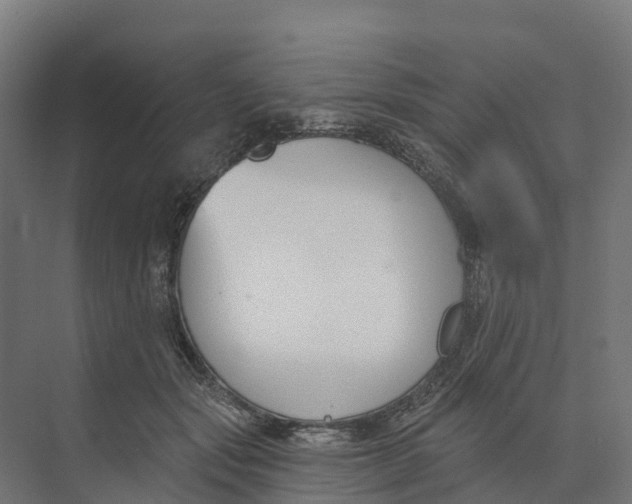 X0000073970557200609111745