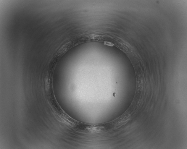 X0000073970558200609111745