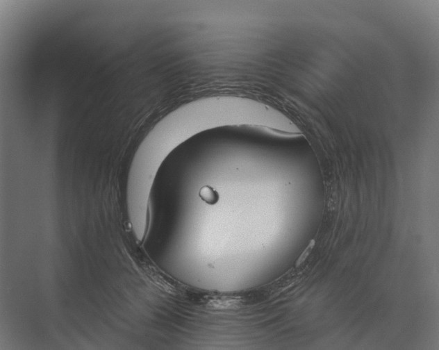 X0000073970560200609111745