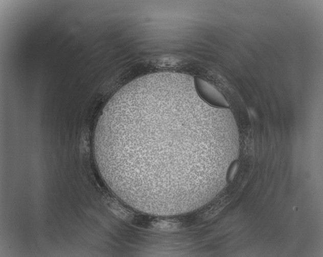 X0000073970561200609111745