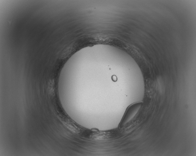 X0000073970563200609111745