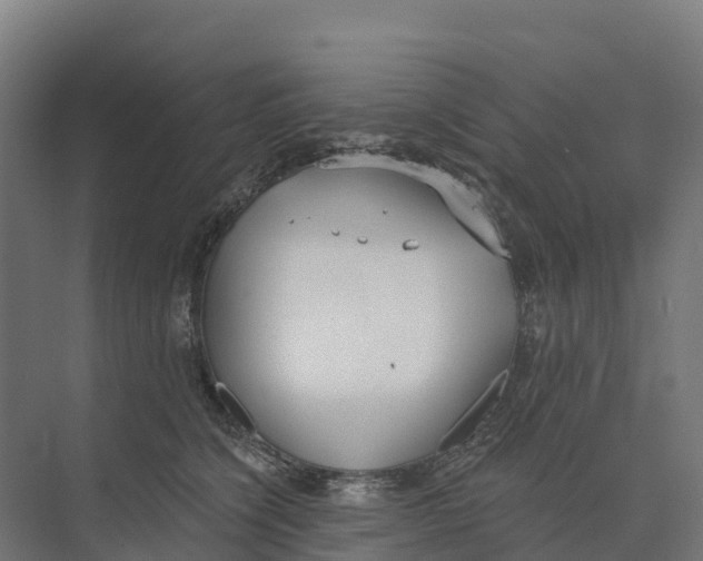 X0000073970564200609111745