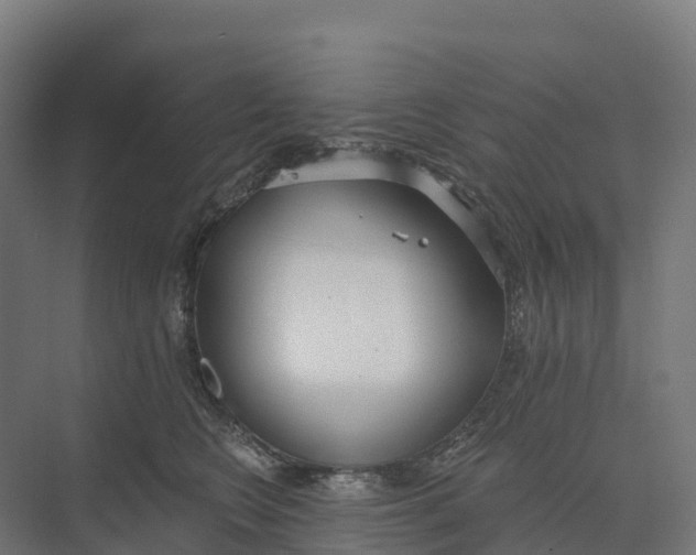 X0000073970566200609111745