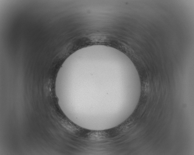 X0000073970567200609111745