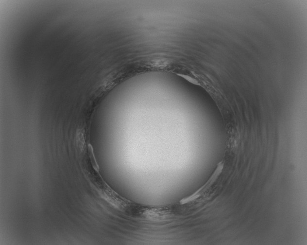 X0000073970568200609111745