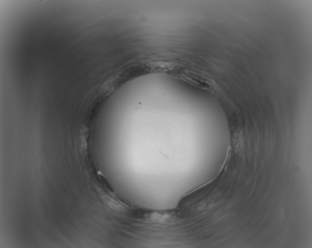 X0000073970570200609111745