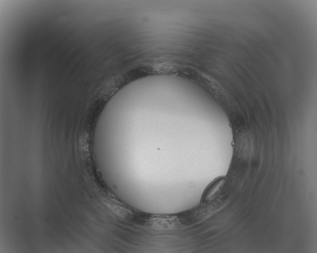 X0000073970571200609111745