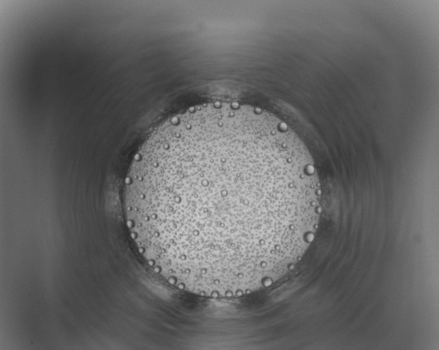 X0000073970573200609111745