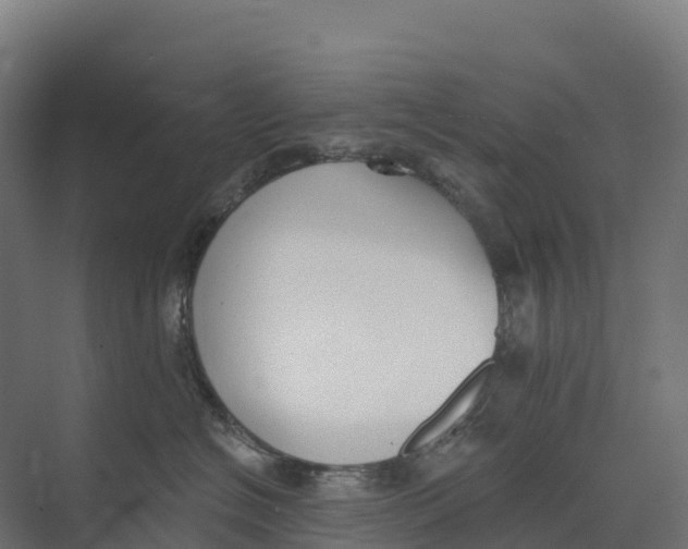 X0000073970574200609111745