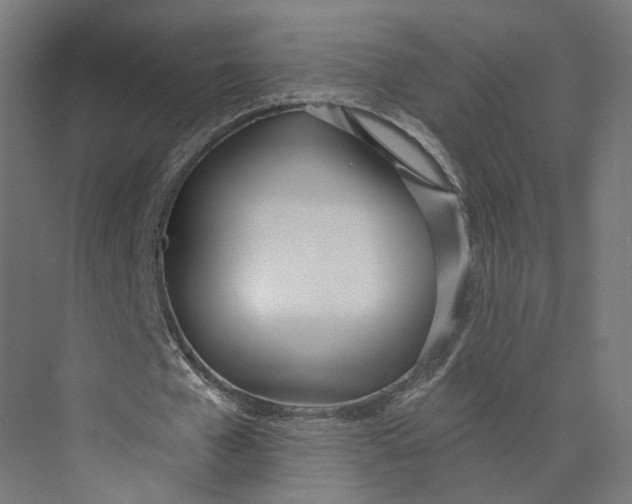 X0000073970577200609111744