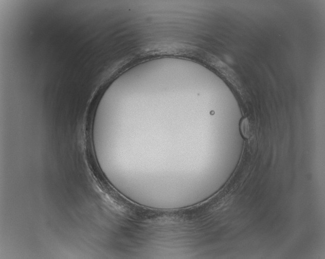 X0000073970578200609111744