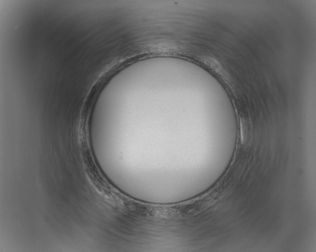 X0000073970579200609111744