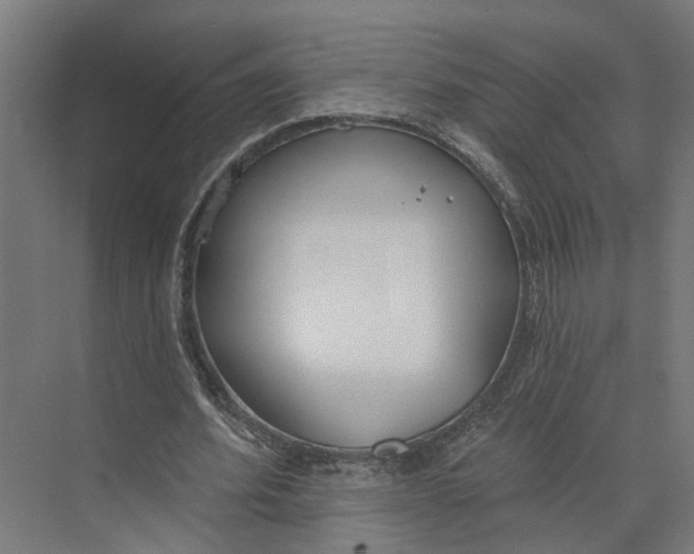 X0000073970580200609111744