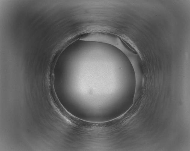 X0000073970581200609111744