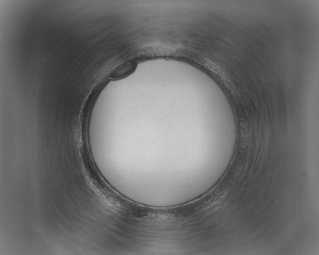 X0000073970582200609111744