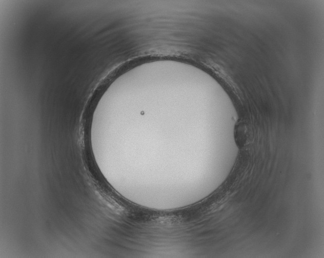 X0000073970584200609111744