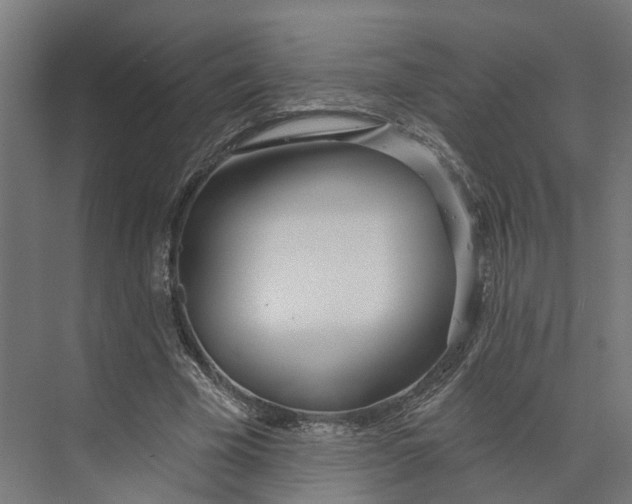 X0000073970585200609111744