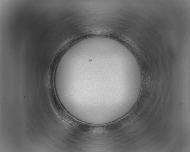 X0000073970587200609111744