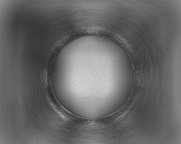 X0000073970589200609111744