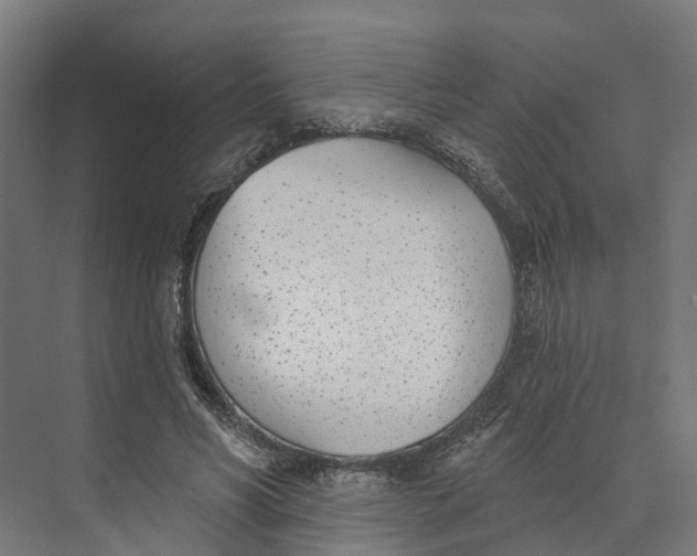 X0000073970590200609111744