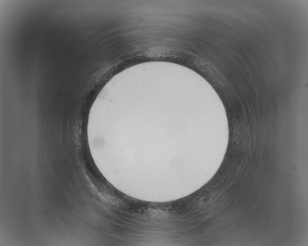 X0000073970592200609111744