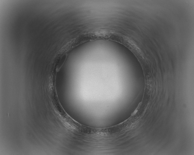 X0000073970593200609111744