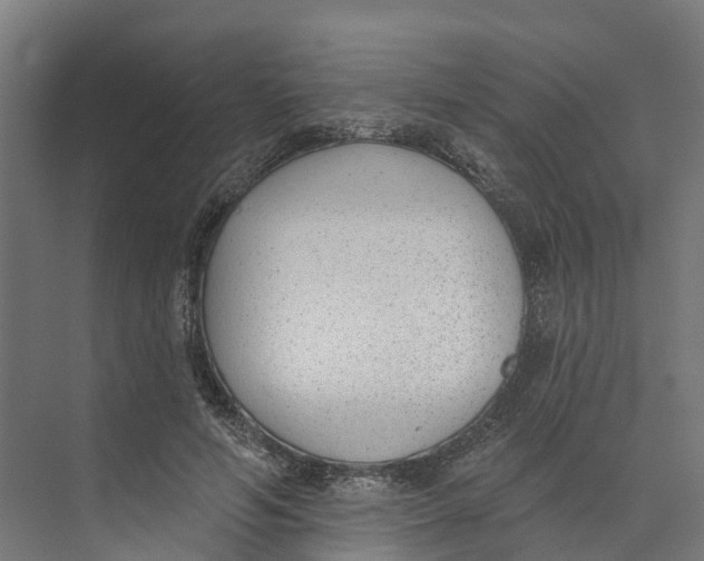 X0000073970594200609111744