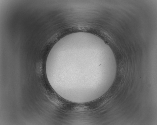 X0000073970595200609111744