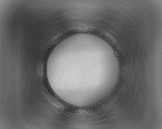 X0000073970596200609111744