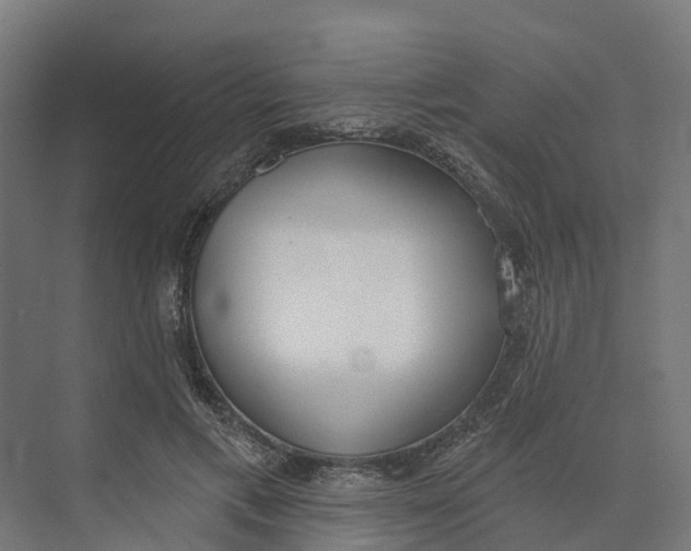 X0000073970597200609111744