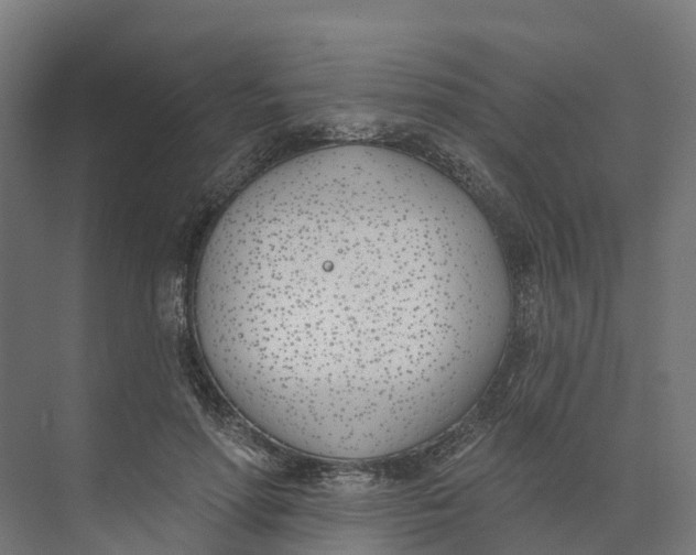 X0000073970598200609111744