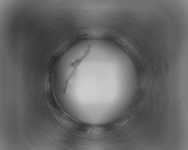 X0000073970599200609111744