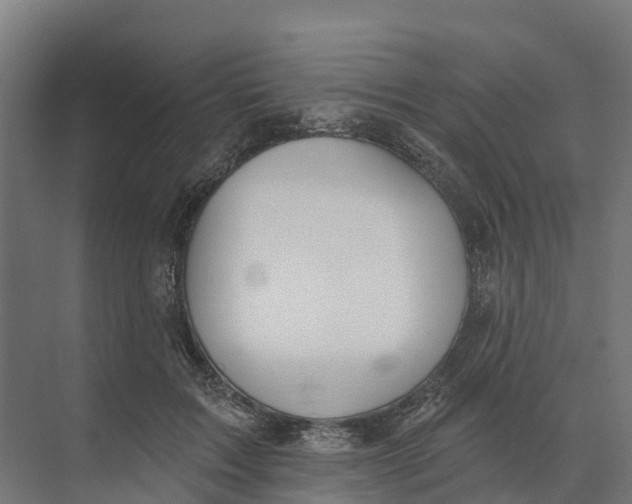 X0000073970603200609111744