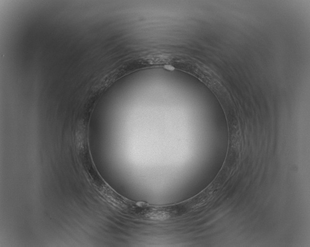 X0000073970604200609111744