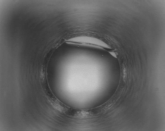 X0000073970607200609111744