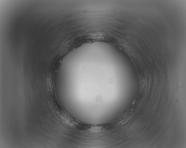 X0000073970609200609111744