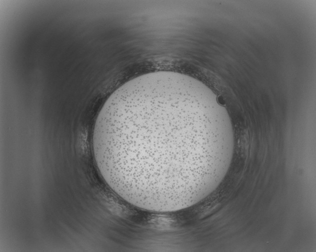 X0000073970610200609111744