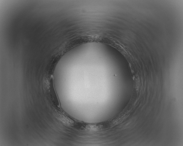 X0000073970613200609111744