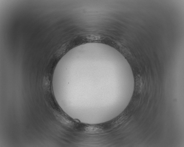 X0000073970614200609111744