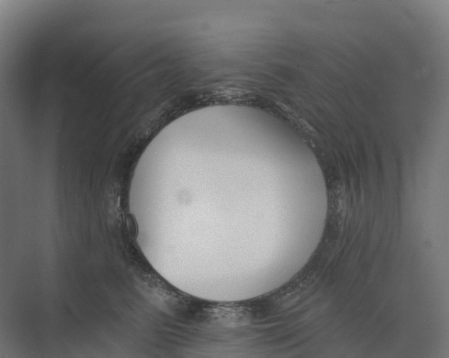 X0000073970615200609111744