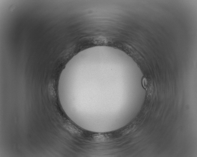 X0000073970616200609111744