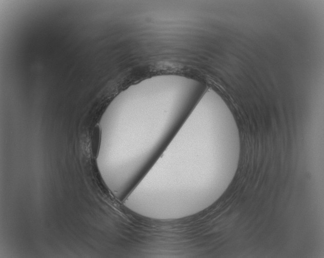 X0000073970617200609111744