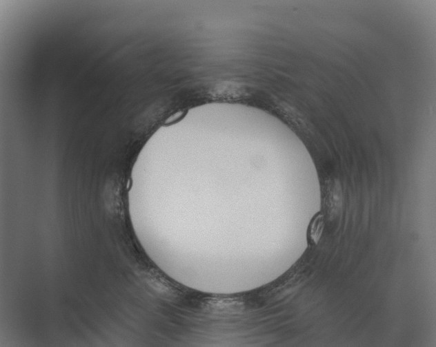 X0000073970619200609111743