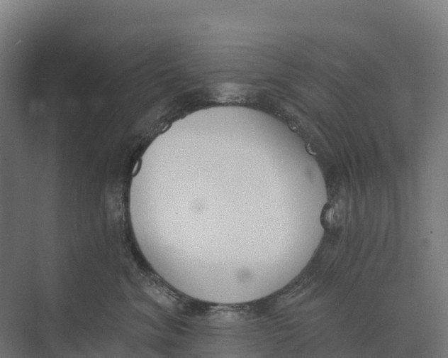 X0000073970620200609111743