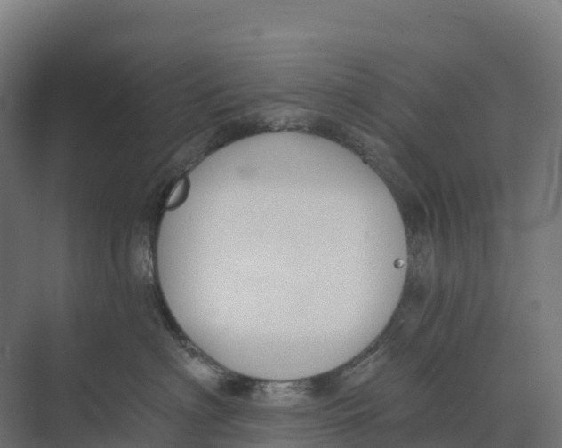 X0000073970622200609111743