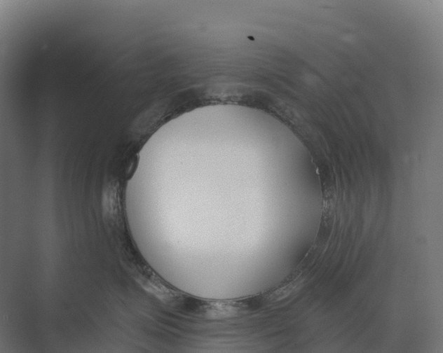 X0000073970623200609111743