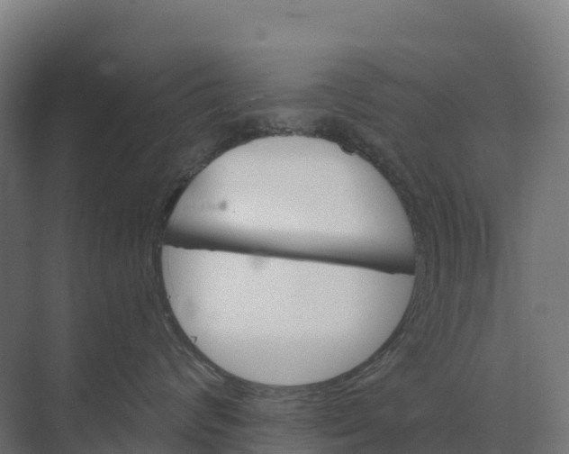 X0000073970624200609111743