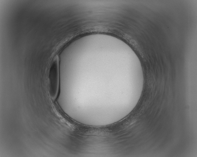 X0000073970625200609111743